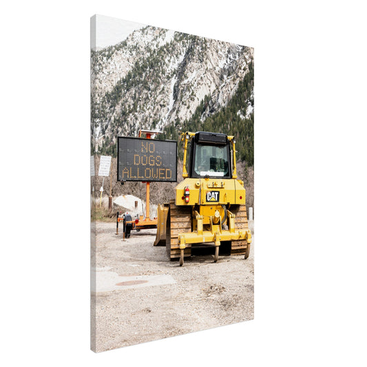 d958dd0f-f5fa-4dfe-97a4-da0cf853cceb